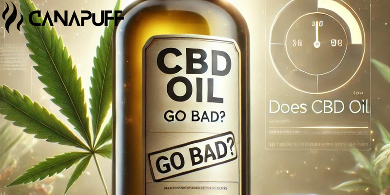 Does CBD Oil Go Bad?