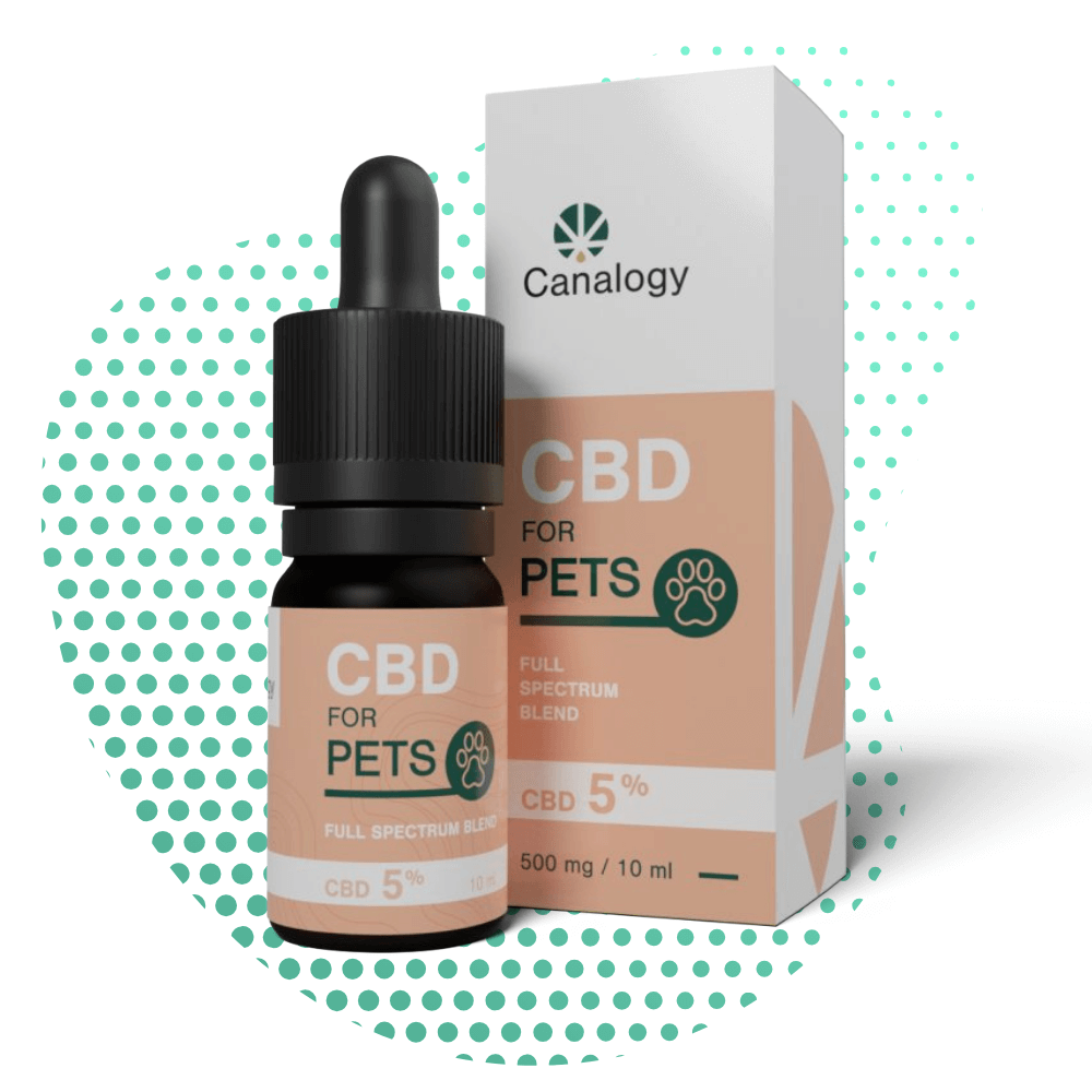 Canalogy 5% CBD-Öl für Tiere